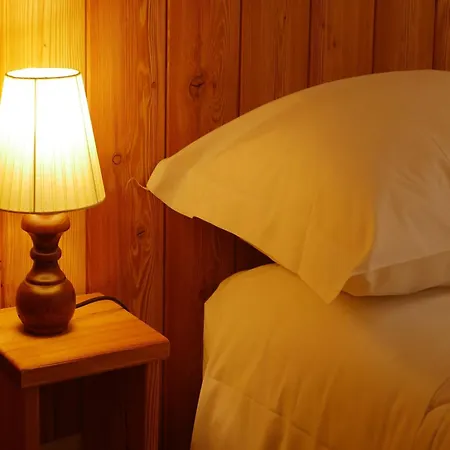 Contemporary In Near Area