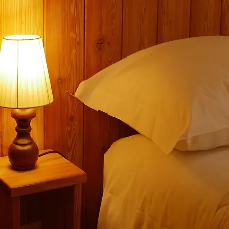 Contemporary In Near Area * 布勒伊-切尔维尼亚