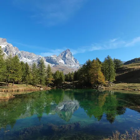 Contemporary In Near Area 公寓